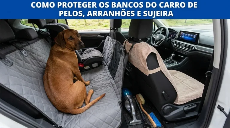 Como Proteger os Bancos do Carro de Pelos, Arranhões e Sujeira