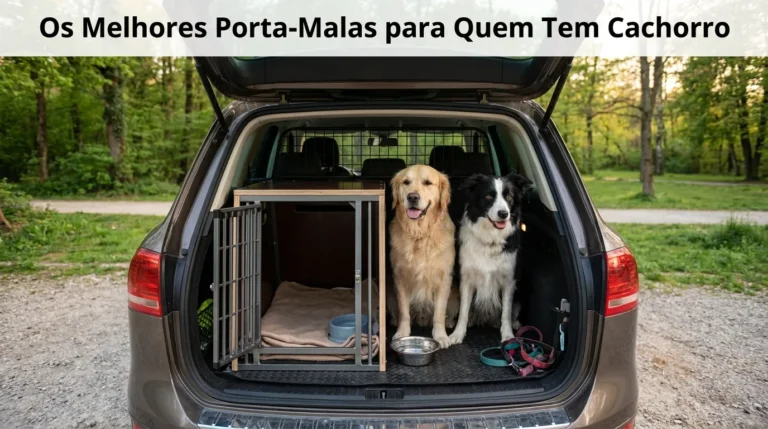 Os Melhores Porta-Malas para Quem Tem Cachorro