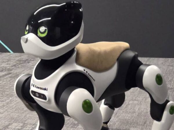 Kawasaki apresenta protótipo do robô Home LEO para acompanhar idosos em casa até 2028